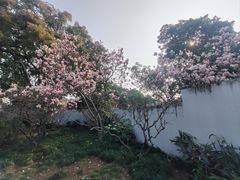 -无锡梅园公园