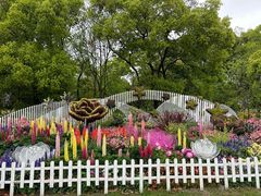 -上海共青森林公园