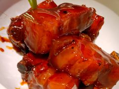 红烧肉-蝶园·装修中(BFC外滩金融中心店)