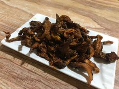 -嘉峪关伊俩寺烤肉店