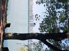-艾溪湖湿地公园