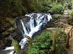 -莫里热带雨林景区