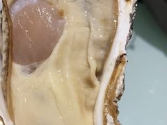 -千岛蚝高压锅生蚝·人参火锅(白云万达店)