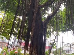 -江头公园