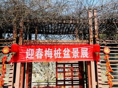 -南京古林公园