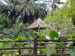 -海南热带野生动植物园