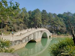 -铁山坪森林公园