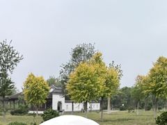 -水西公园