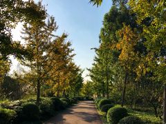 -白鹭湾湿地公园