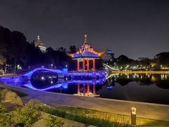 -金砂公园