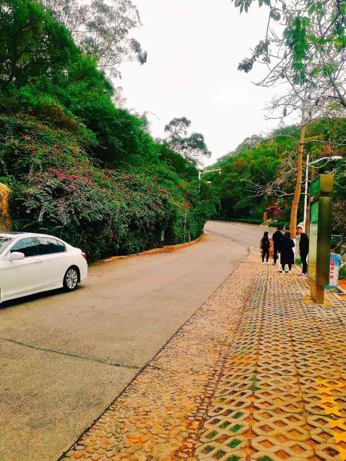 怪坡-"厦门的怪坡不是很长,上坡感觉是下坡,下坡."-大众点评移动版