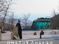 -大连森林动物园