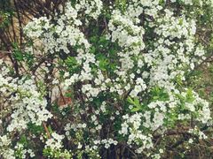 -南山风景名胜区