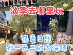-渡海小渔村.老辈日照菜