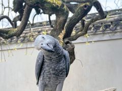 -宁波市保国寺古建筑博物馆