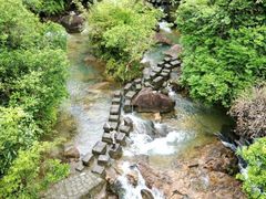 -广州白江湖森林公园