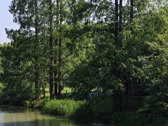 -昆山城市生态森林公园