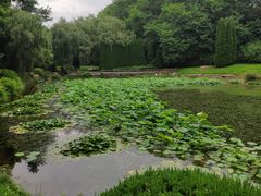 -棒棰岛宾馆景区
