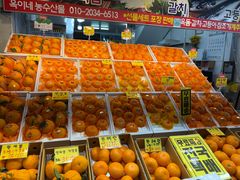 -西归浦每天偶来市场