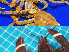 -三亚火车头万人海鲜广场