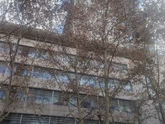 -瑞金医院-门诊部