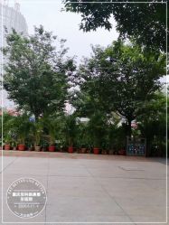 -重庆军科整形美容医院