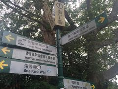 -南丫岛