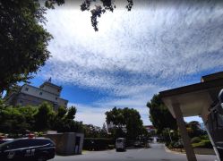 -华东饭店·园林式婚礼宴会厅酒店