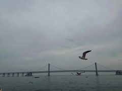 -星海湾跨海大桥
