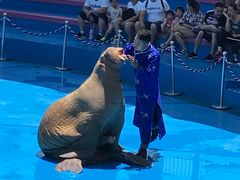 -华夏文旅海洋公园