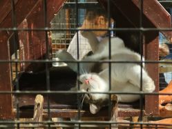 -酷嗒动物文化乐园(cutezoo西溪乐天城店)