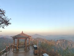 -大岭沟猕猴桃谷风景区