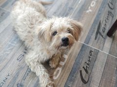 -乡乐园蟹庄·阳澄湖农家乐