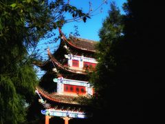 -武陵山森林公园