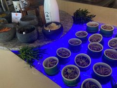 -自助山(合和中心商场店)