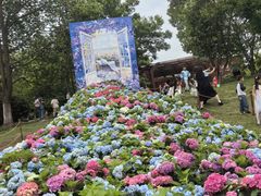 -武汉园博园(武汉自然博物馆)