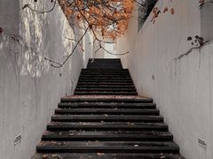 -石家庄市植物园