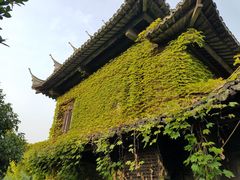 -韩湘水博园