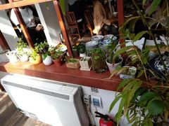 -铃木食堂(帽儿胡同店)