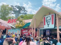 -苏州乐园森林水世界