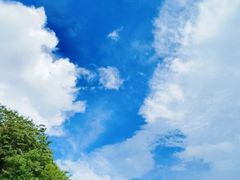 -神光山国家森林公园