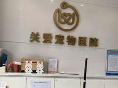 -关爱宠物医院·猫科中心·消化科(滨湖万达分院)