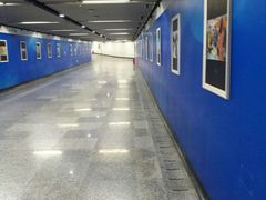 -红宝石·鲜奶小方(长阳店)