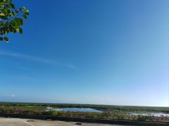 -北海金海湾红树林生态旅游区