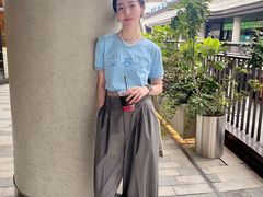 -岭南站NOVA