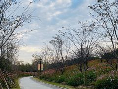 -东方绿舟景区
