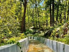 -沂蒙山旅游区云蒙景区(蒙山国家森林公园)