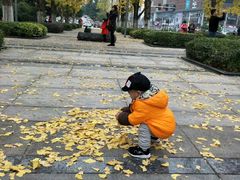 -百林公园-两江幸福广场