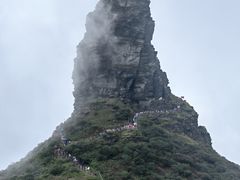 -亮欢寨酸汤鱼(沙冲路店)