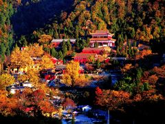 -遵化市禅林寺古银杏风景园